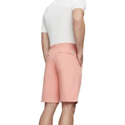 Puma 2023 Dealer 10 Inch Shorts -Pum Golf Club Shop puma 2023 dealer 10 inch shorts ice pink back itempicture